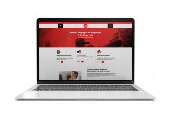 Sitio web de Taype Comercial: Comercial (Otros)